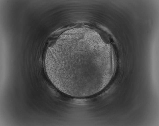 X0000084600825200703231925