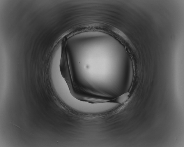 X0000084600826200703231925