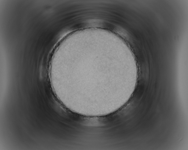 X0000084600828200703231925