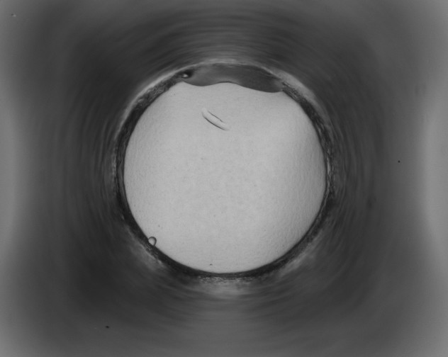 X0000084600831200703231925