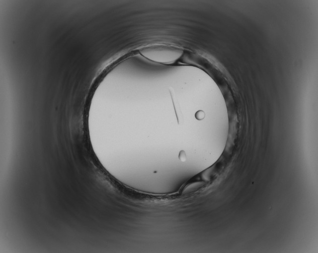 X0000084600834200703231925