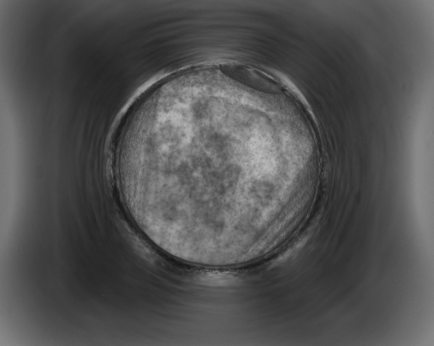 X0000084600835200703231925