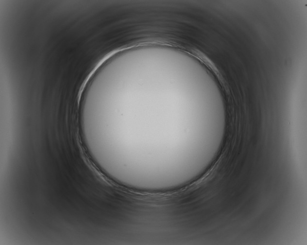 X0000084600836200703231925