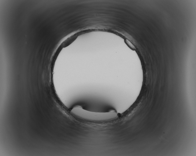 X0000084600838200703231925