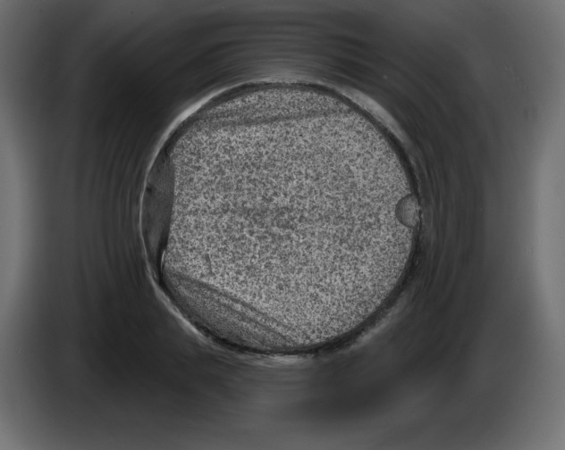 X0000084600839200703231925