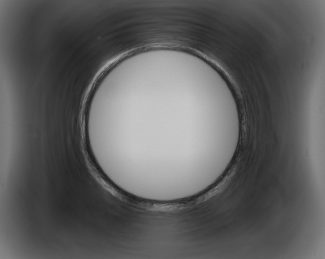 X0000084600840200703231925