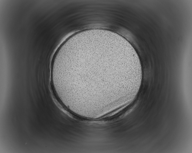 X0000084600844200703231925