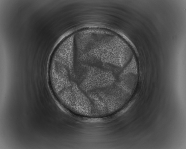 X0000084600845200703231925