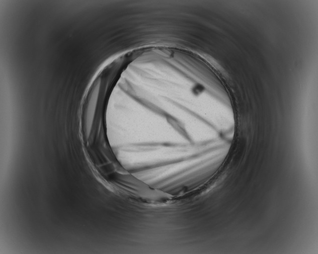 X0000084600846200703231925