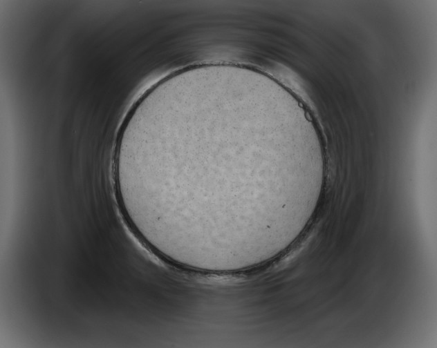 X0000084600847200703231925