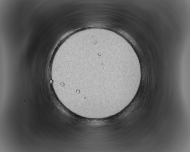 X0000084600848200703231925