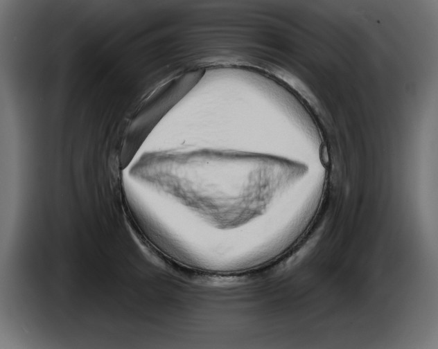 X0000084600849200703231925