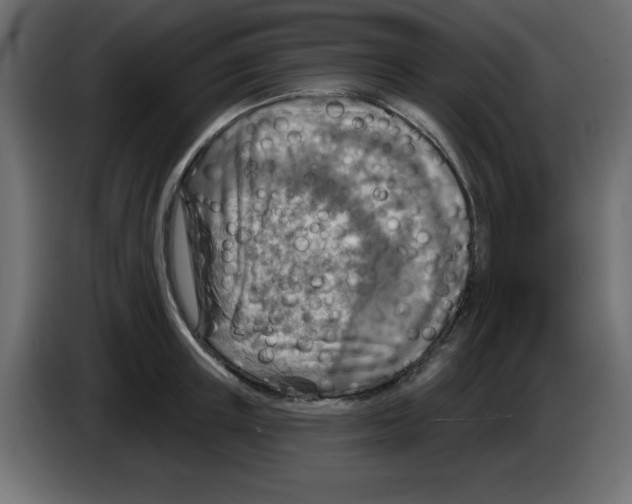 X0000084600851200703231925