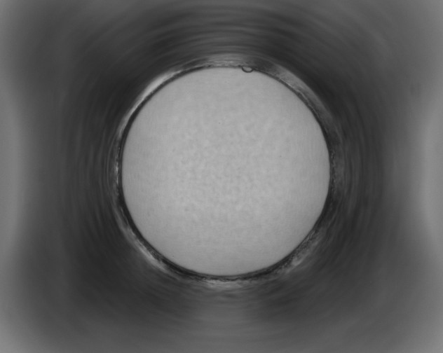 X0000084600852200703231925