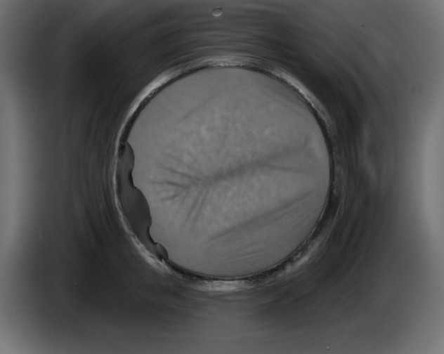 X0000084600853200703231925