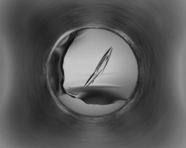 X0000084600854200703231925