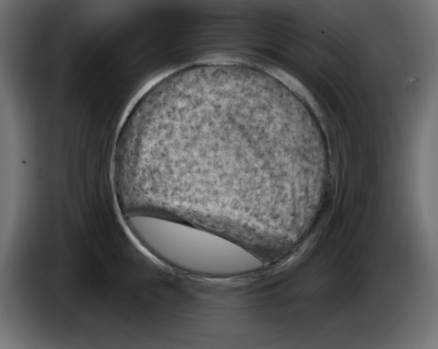 X0000084600855200703231925