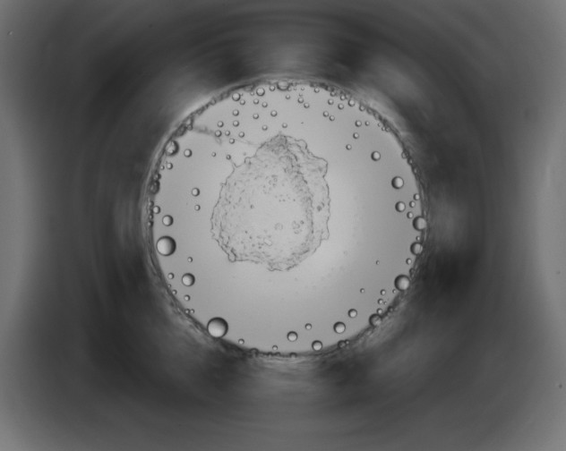 X0000084600856200703231925