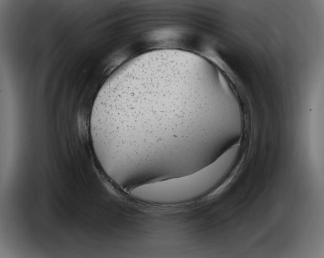 X0000084600857200703231925