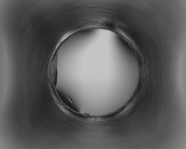 X0000084600858200703231925