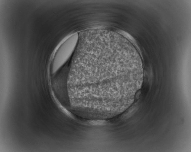 X0000084600859200703231925