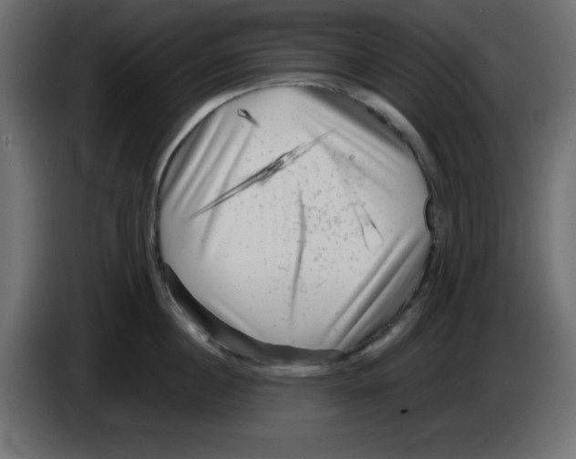 X0000084600860200703231925