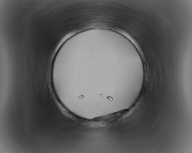 X0000084600861200703231925