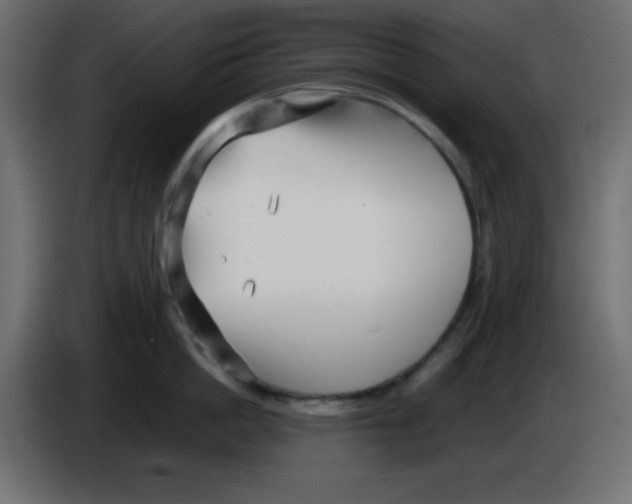 X0000084600862200703231925