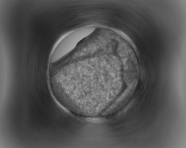 X0000084600863200703231925