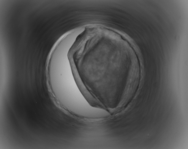 X0000084600864200703231925