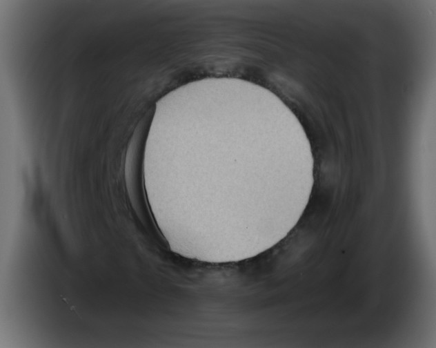 X0000084600865200703231925