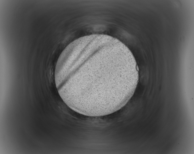 X0000084600866200703231924