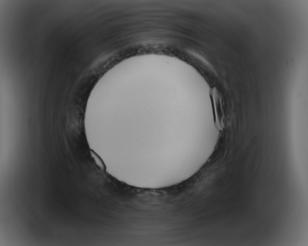 X0000084600869200703231924