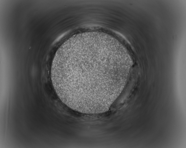 X0000084600871200703231924