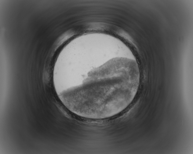 X0000084600874200703231924