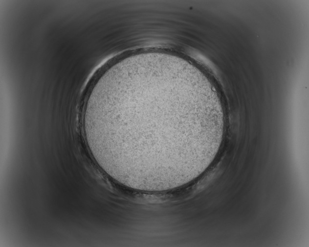 X0000084600875200703231924