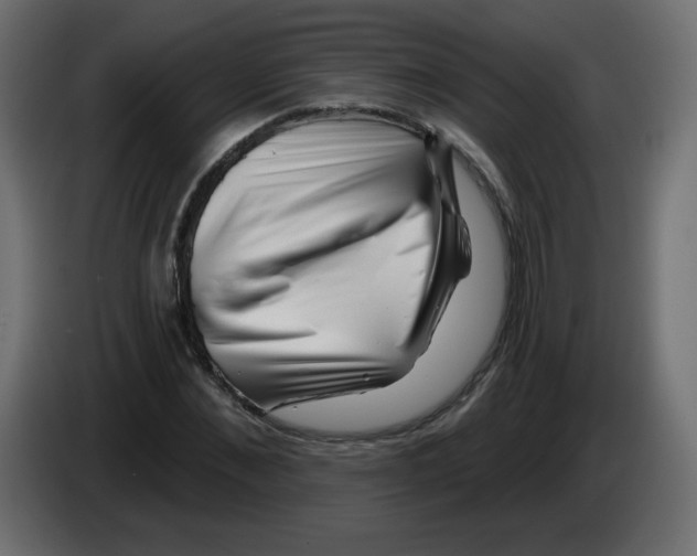 X0000084600876200703231924