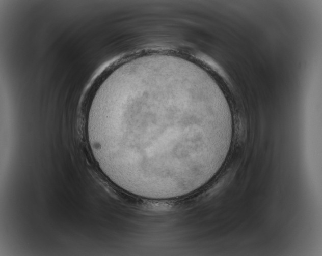 X0000084600878200703231924