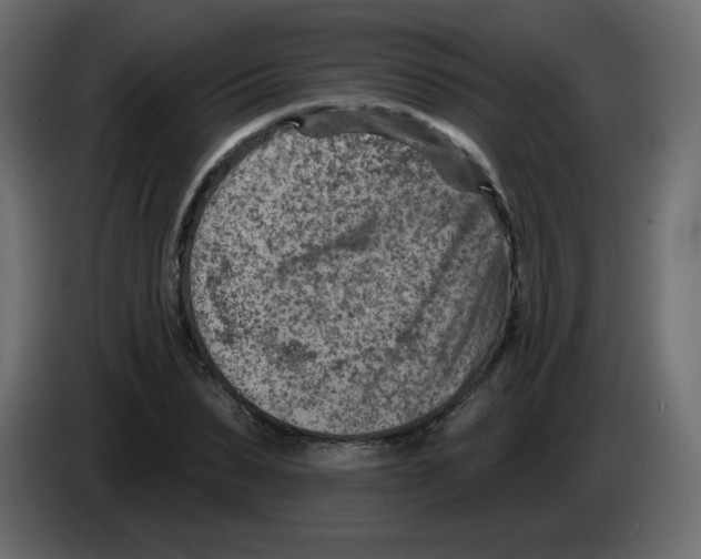 X0000084600879200703231924