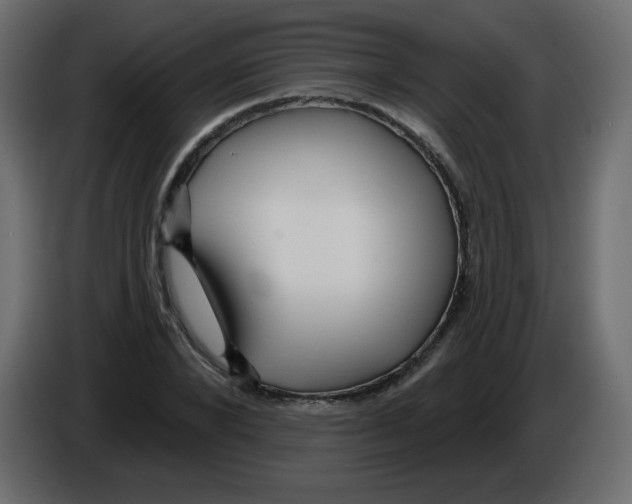 X0000084600880200703231924