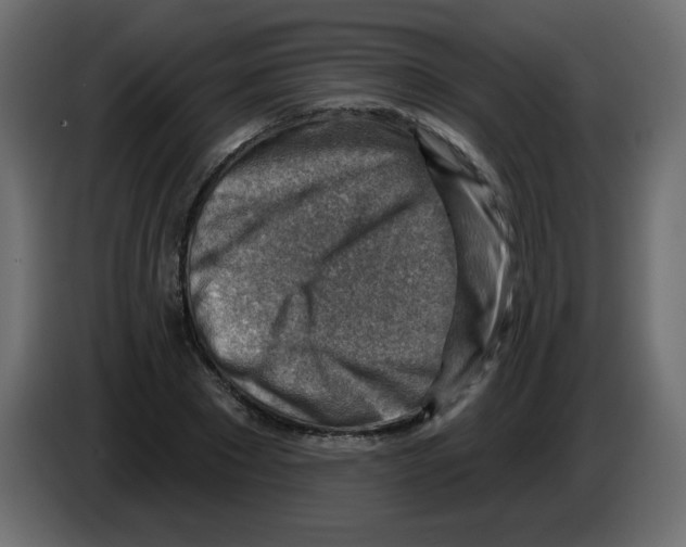 X0000084600881200703231924