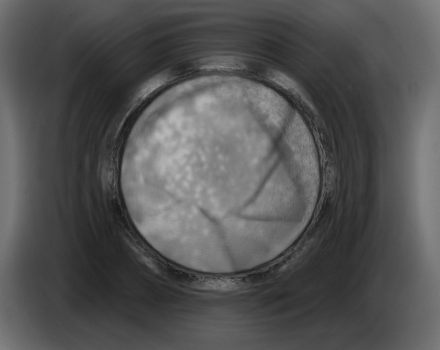 X0000084600882200703231924