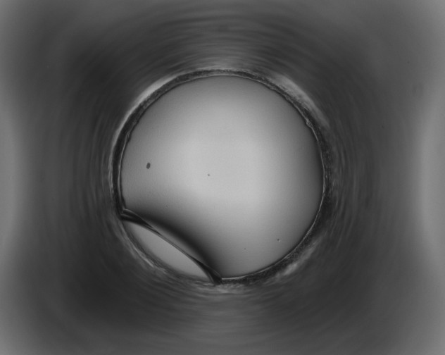 X0000084600884200703231924