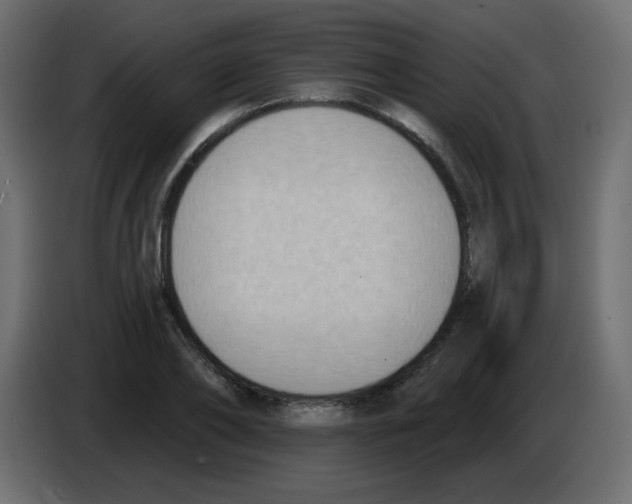 X0000084600886200703231924