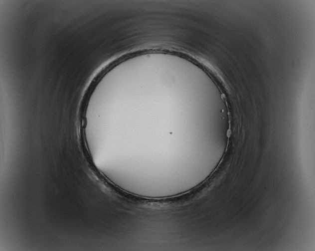 X0000084600888200703231924