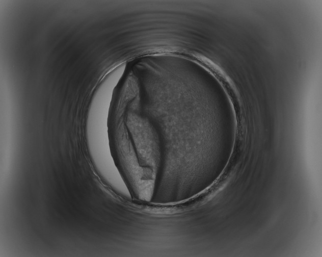 X0000084600889200703231924