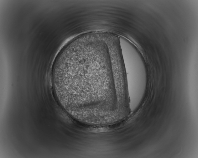 X0000084600891200703231924