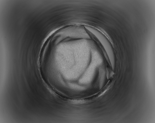 X0000084600893200703231924