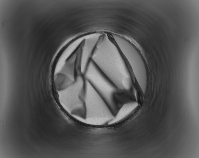 X0000084600894200703231924