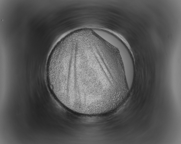 X0000084600895200703231924